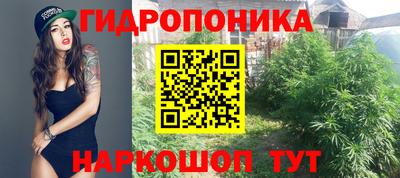 не бодяженный Будённовск
